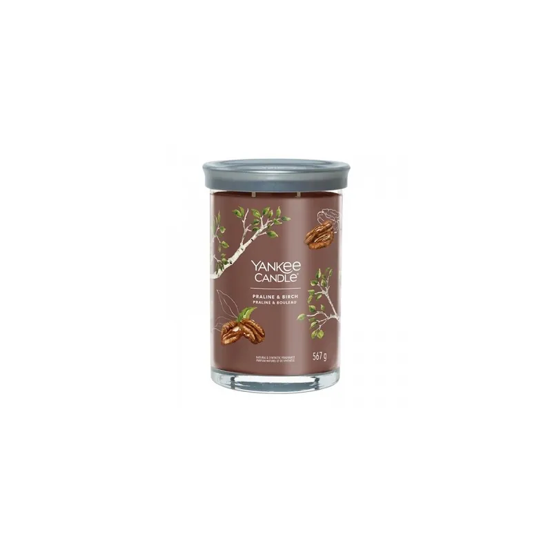 Affare Yankee Candle Praline & Birch Candela Profumata Tumbler Grande 567 G